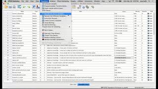 SPSS Recoding Variables [upl. by Curnin204]