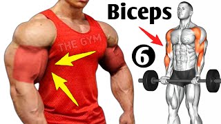 6 Best Exercises Bigger Biceps At Gym  Biceps Workout [upl. by Oznole]