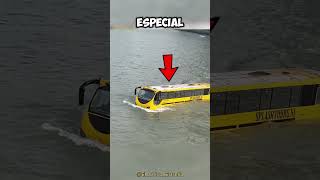 Este conductor metió SU AUTOBUS en un RÍO 😱🚌 [upl. by Irelav597]