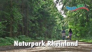 Naturpark Rheinland  RheinEifelTV [upl. by Leid]