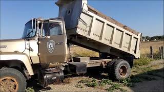 1982 FORD L8000 For Sale [upl. by Grosz]