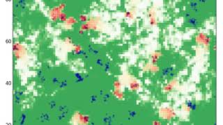 Individualbased model of phytoplasma infection dynamics [upl. by Hassadah293]