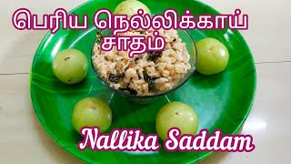 NELLIKAI SADAM RECIPE IN TAMIL  HOW TO MAKE GOOSEBERRY RICE  AMLA SADAM IN TAMIL  HEALTHY [upl. by Sculley]