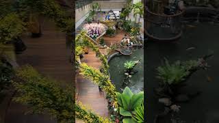 Best Airport in the World Singapore Changi Airport with tropical plants and Koi ponds [upl. by Elimaj]