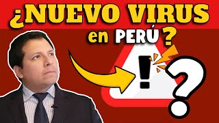 ¡ALERTA CIENTÍFICOS DESCUBREN NUEVO VIRUS EN PERÚ ¿RIESGO DE PANDEMIA [upl. by Ynnub992]