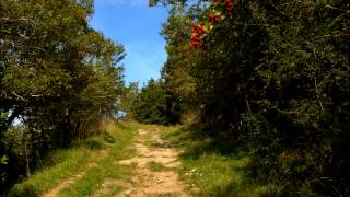 Stand by me Tyros 4 et Roland au bout du sentier de 5lo [upl. by Ayekin223]