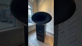 ASCENDO Black Swan Beryllium and The 50 Sub hometheater subwoofer ascendoimmersiveaudio [upl. by Xet]