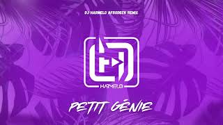 Jungeli ft Imen Es Alonzo Abou Debeing amp Lossa  Petit Génie Dj Harmelo AfroDeck Remix [upl. by Ellenej]