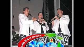 banda mspopurri corridos [upl. by Ahsilaf]