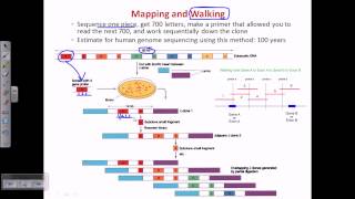 Genome sequencing [upl. by Brandie398]