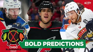 Bold Predictions for the Chicago Blackhawks offseason  CHGO Blackhawks Podcast [upl. by Anwahsit]