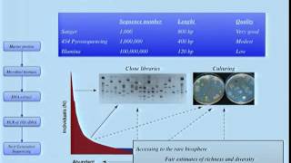 Microbial Metagenomics [upl. by Phelgon]