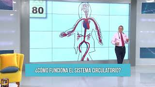 CARDIOPATÍA HIPERTENSIVA [upl. by Olia]