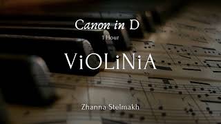 Pachelbel  Canon in D 1 Hour version by ViOLiNIA Zhanna Stelmakh [upl. by Ary]