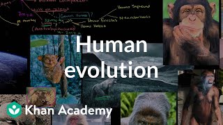 Human evolution overview  Life on earth and in the universe  Cosmology amp Astronomy  Khan Academy [upl. by Eerehs]