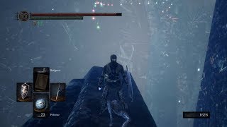 DARK SOULS REMASTERED  Blue Titanite Slab location [upl. by Aihsatan]