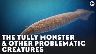 The Tully Monster amp Other Problematic Creatures [upl. by Orna]