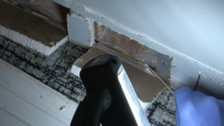 Part 2 Protect Yourself During A Mold Inspection [upl. by Mathur]