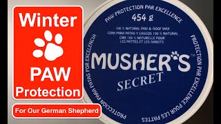 Ep116 Mushers Secret Extreme cold dog paw protection amp Hot Weather Paw protection too [upl. by Eecyac]