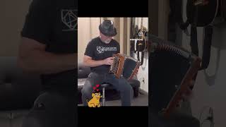 🐕The dog🐕music accordion composition accordeon [upl. by Brittney]