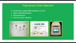 How To Perform PCR  Polymerase Chain Reaction 👨🏻‍🔬🧬 [upl. by Ydne]