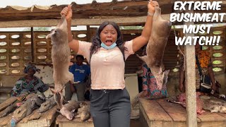 SHOCKING Extreme bushmeat at the Nigerian wild animal market Ft African tigress x Virtue Grace [upl. by Yokum]