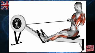 Rowing Machine backworkout backexercise rowingmachine legworkout fullbodyworkout [upl. by Ferne]