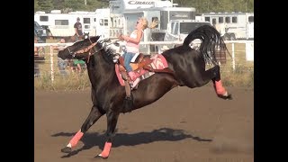 Barrel Racing series 3 from McHenry County Saddle Club [upl. by Atiraj]