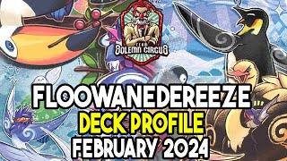 YuGiOh Floowandereeze Deck Profile February 2024 Post PHNI [upl. by Goldarina740]