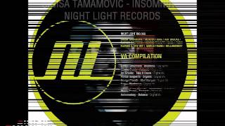 Sinisa Tamamovic Insomnia  Night Light Records [upl. by Feeley840]