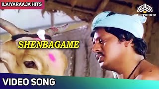 Shenbagame Video Song Male  செண்பகமே  Enga Ooru Pattukaran Movie Songs  Mano  Ilaiyaraaja [upl. by Idissac200]