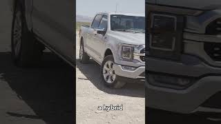 Exploring the Ford F150 Platinum PowerBoost  The Ultimate Hybrid Beast [upl. by Yarod883]