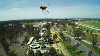 Quadcopter drone attacked by bees [upl. by Nosrej]