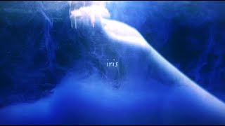 草刈愛美 mabanua YonYon 「iris」Lyric Video [upl. by Pedersen]