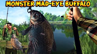 CARA BERHASIL MEMANCING MOSTER MAD  EYE BUFFALO FISHING PLANET [upl. by Eintruok]