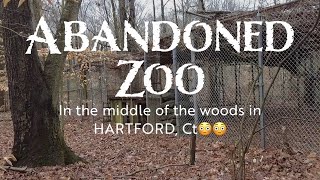 We Found an Abandoned Zoo Hidden in The Woods of Hartford CT  WHAT WENT ON HERE [upl. by Mcgee]