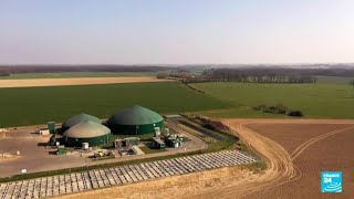 Renewable energy Frances biogas sector is booming • FRANCE 24 English [upl. by Claudio]