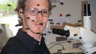 Scientist Lets Bees Sting His Private Parts For Experiment [upl. by Eugenius]