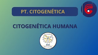 PT CITOGENÉTICA HUMANA [upl. by Nylhtak]