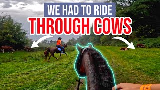 COWS CANOES AND A CASCADE OF RAIN  A VERY SOGGY ENDURANCE HORSE RIDE  GO PRO [upl. by Goulet]