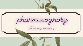 pharmacognosy lec3 part2tropane alkaloidthird stage pharmacy [upl. by Gnohp]