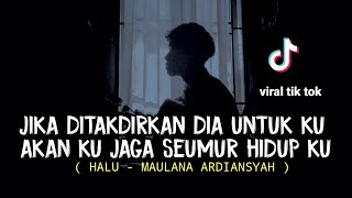 LIRIK LAGU HALU  MAULANA ARDIANSYAH jika ditakdirkan dia untukku akan ku jaga cover agusriansyah [upl. by Neoma]