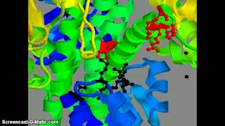 Histidine kinase response regulator complex [upl. by Chill]