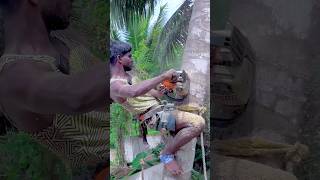 8610339350 tree cutter Suyambu kaniyakumari top tree cutter [upl. by Charin]