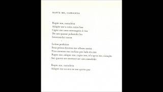 Caetano Veloso  Sobre as Letras  Rapteme Camaleoa [upl. by Ocsic722]