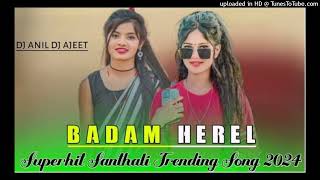 BadamHerellNewSanthaliDjSong2024SanthaliDjRemix2024BadamHerelKachhaBadamDjAniL1 [upl. by Asor]