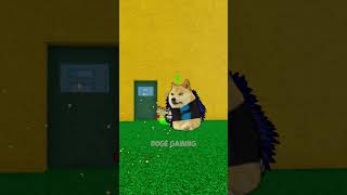 I HATE ZIOLES GAMBLING 😭 Doge Gaming [upl. by Aldwon]