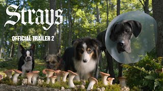 Strays  Official Trailer [upl. by Eiclehc21]