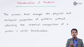 Denaturation of Proteins  Biomolecules  Chemistry Class 12 [upl. by Leopold]