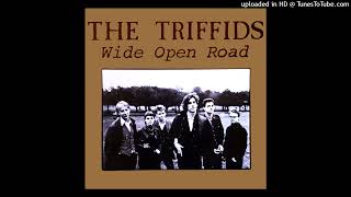 The Triffids  Wide open road [upl. by Oer742]